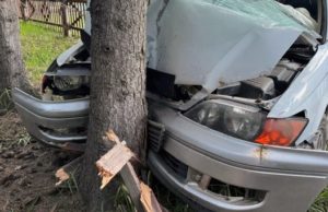 В Усть-Коксе женщина на «Тойоте» протаранила забор и врезалась в дерево В Усть-Коксе женщина на «Тойоте» протаранила забор и врезалась в дерево