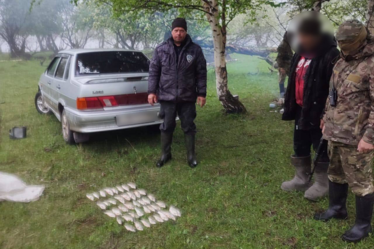 Силовики пресекли незаконный вылов рыбы в реке Чулышман 