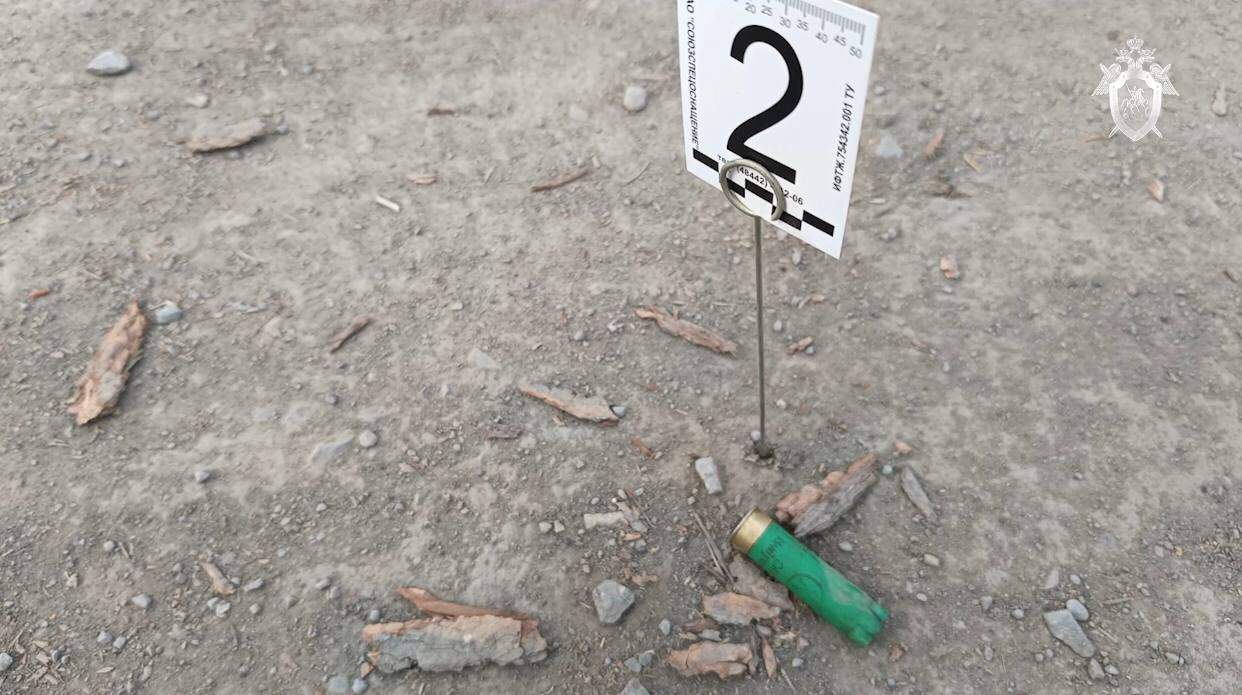 Пойдет под суд мужчина, открывший огонь по жителям Шебалино