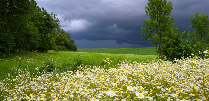 В Республике Алтай вводится запрет на приватизацию земель сельхозназначения