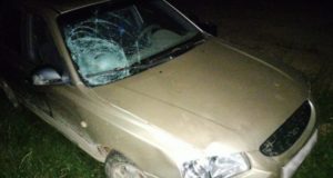 В Каракокше 12-летний мальчик решил покататься на иномарке и сбил девочку-подростка В Каракокше 12-летний мальчик решил покататься на иномарке и сбил девочку-подростка