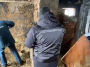 Жителя Турочака будут судить за гибель двоих детей на пожаре