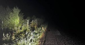 20-летний горожанин госпитализирован после ночной поездки на мопеде 20-летний горожанин госпитализирован после ночной поездки на мопеде