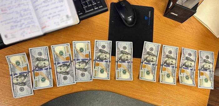 Иностранец пойдет под суд за попытку подкупить таможенника на Алтае