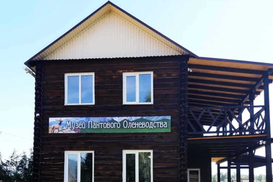 В Верх-Уймоне открылся музей пантового оленеводства