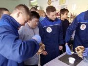 В мастерских «Доброшкола» обучились более 120 детей