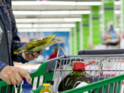 В Республике Алтай выросла стоимость минимального набора продуктов В Республике Алтай выросла стоимость минимального набора продуктов