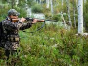 Утверждены лимиты добычи охотничьих ресурсов в Республике Алтай Утверждены лимиты добычи охотничьих ресурсов в Республике Алтай