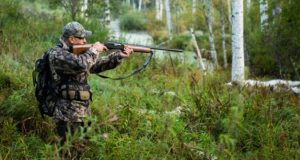 Утверждены лимиты добычи охотничьих ресурсов в Республике Алтай Утверждены лимиты добычи охотничьих ресурсов в Республике Алтай