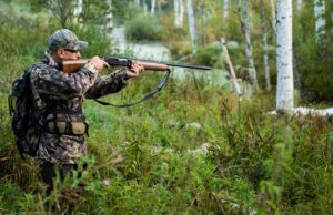 Утверждены лимиты добычи охотничьих ресурсов в Республике Алтай Утверждены лимиты добычи охотничьих ресурсов в Республике Алтай