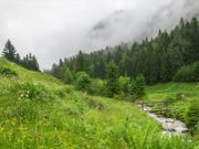 Прогноз погоды: дожди сохраняются