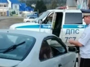 Подведены итоги профилактического мероприятия «Водитель-пешеход»