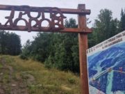 Мужчину придавило деревом во время субботнего шторма в Горно-Алтайске