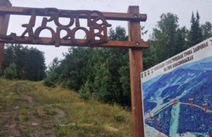 Мужчину придавило деревом во время субботнего шторма в Горно-Алтайске Мужчину придавило деревом во время субботнего шторма в Горно-Алтайске