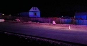 В Улагане иномарка сбила мужчину, который шел по дороге В Улагане иномарка сбила мужчину, который шел по дороге