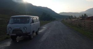Пьяный сельчанин выпрыгнул из УАЗика на ходу и получил травмы Пьяный сельчанин выпрыгнул из УАЗика на ходу