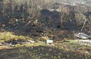 Три лесных пожара действуют в Республике Алтай Три лесных пожара действуют в Республике Алтай