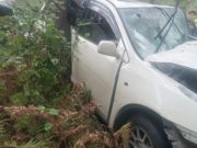 В Чемальском районе «Тойота» слетела с дороги и врезалась в дерево, погибла пассажирка