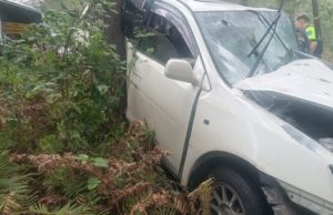 В Чемальском районе «Тойота» слетела с дороги и врезалась в дерево, погибла пассажирка В Чемальском районе «Тойота» слетела с дороги и врезалась в дерево, погибла пассажирка