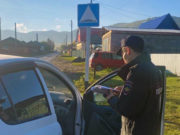 В республике прошло специальное профилактическое мероприятие «Детское кресло» В республике прошло специальное профилактическое мероприятие «Детское кресло»