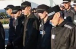 Постоянное пьянство за рулём довело до колонии Постоянное пьянство за рулём довело до колонии