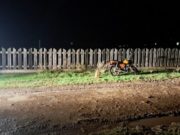 В Беш-Озеке подросток повредил сухожилие, катаясь на мотоцикле В Беш-Озеке подросток повредил сухожилие, катаясь на мотоцикле