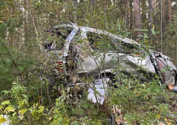 Три человека погибли в ДТП в Шебалинском районе Три человека погибли в ДТП в Шебалинском районе