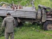 Водитель грузовика получил срок за смертельное ДТП по дороге на Каракольские озера Водитель грузовика осужден за смертельное ДТП по дороге на Каракольские озера