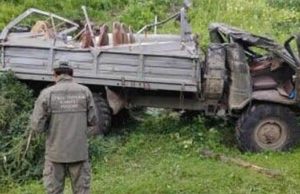 Водитель грузовика получил срок за смертельное ДТП по дороге на Каракольские озера Водитель грузовика осужден за смертельное ДТП по дороге на Каракольские озера