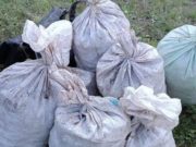 На Алтае сельчанина задержали при погрузке в машину восьми мешков «золотого корня» На Алтае сельчанина задержали при погрузке в машину восьми мешков «золотого корня»