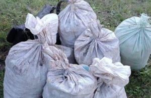 На Алтае сельчанина задержали при погрузке в машину восьми мешков «золотого корня» На Алтае сельчанина задержали при погрузке в машину восьми мешков «золотого корня»