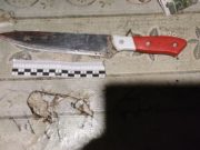 В Горно-Алтайске пьяный мужчина зарезал сожительницу В Горно-Алтайске пьяный мужчина зарезал сожительницу