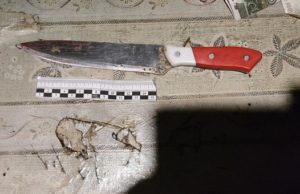 В Горно-Алтайске пьяный мужчина зарезал сожительницу В Горно-Алтайске пьяный мужчина зарезал сожительницу