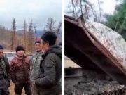 Депутат от «Единой России» попросил провести прокурорскую проверку по факту выкорчевывания кедров в Усть-Канском районе Депутат от «Единой России» попросил провести прокурорскую проверку по факту выкорчевывания кедров в Усть-Канском районе