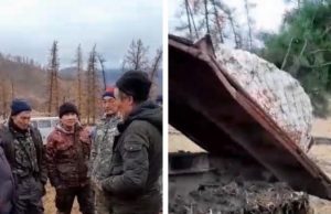 Депутат от «Единой России» попросил провести прокурорскую проверку по факту выкорчевывания кедров в Усть-Канском районе Депутат от «Единой России» попросил провести прокурорскую проверку по факту выкорчевывания кедров в Усть-Канском районе
