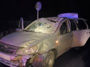 Житель Алтайского края врезался в лошадь на Чемальском тракте Житель Алтайского края врезался в лошадь на Чемальском тракте