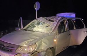 Житель Алтайского края врезался в лошадь на Чемальском тракте Житель Алтайского края врезался в лошадь на Чемальском тракте