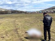 Бил камнем и палкой: в Улагане изувер осужден за жестокое убийство сожительницы Бил камнем и палкой: в Улагане изувер осужден за жестокое убийство сожительницы