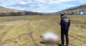 Бил камнем и палкой: в Улагане изувер осужден за жестокое убийство сожительницы Бил камнем и палкой: в Улагане изувер осужден за жестокое убийство сожительницы