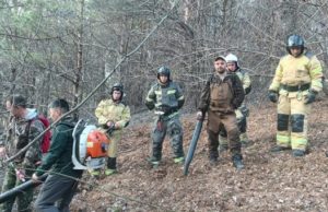 Дети разводили костры на Тугае и устроили пожар Дети разводили костры на Тугае и устроили пожар