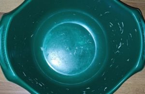 Двухлетняя девочка получила серьезные ожоги в Кызыл-Озеке Двухлетняя девочка получила серьезные ожоги в Кызыл-Озеке