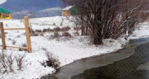 В Усть-Коксинском районе суд обязал владельца участка убрать забор и обеспечить доступ к воде В Усть-Коксинском районе суд обязал владельца участка убрать забор и обеспечить доступ к воде