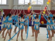 Чемпионат и первенство республики по художественной гимнастике прошли в спортшколе «Грация»