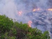 На Алтае завершен пожароопасный сезон