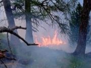Число лесных пожаров в Горном Алтае значительно снизилось Число лесных пожаров в Горном Алтае значительно снизилось