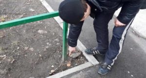 Житель Горно-Алтайска забрал в Бийске «закладку» и попался силовикам Житель Горно-Алтайска забрал в Бийске «закладку» и попался силовикам
