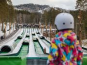 Родельбан и тюбинг: бесплатные активности на курорте «Манжерок» для жителей республики