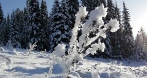 Слабые морозы ожидаются в Республике Алтай Слабые морозы ожидаются в Республике Алтай