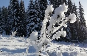 Слабые морозы ожидаются в Республике Алтай Слабые морозы ожидаются в Республике Алтай