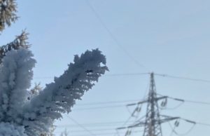 «Россети Сибирь» усиливает меры безопасности на объектах электроэнергетики